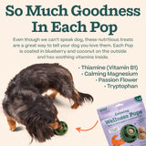 WOOF Calming Wellness Pops - Calming Dog Treats - Long-Lasting Refills for The Pupsicle Toy to Promote Calm - Magnesium for Dogs- Large Pops - 7 Count