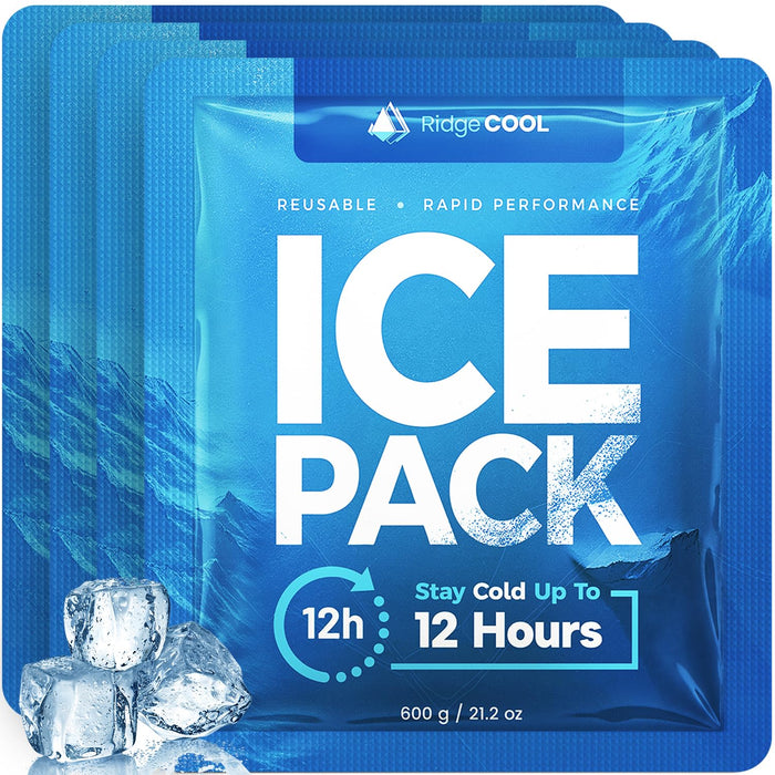 RIDGECOOL 4 Pack Large Reusable Ice Packs for Coolers, BPA-Free Freezer Packs for Cooler, Leakproof, Food Safe, Long Lasting, 9.8 x 8.6 in