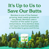 Caboo Tree Free Paper Towels, 8 Rolls, Earth Friendly Sustainable Kitchen Paper Towels with Strong 2 Ply