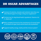 3in1 Blood Aid, Immunity & Energy for Dogs, Iron Supplement for Dogs, Helps Maintain Blood Health, Normal Red Blood Cells Levels & Normal Clothing Function, Iron for Dogs, Dog Iron Supplement