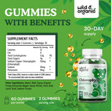 Wild & Organic Chlorophyll Gummies - Natural Energy Booster, Digestion & Immune Support, Internal Deodorant Chewable Daily Vegan Supplement - Sodium Copper Chlorophyllin Extract - 50mg 60 Chews