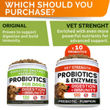 STRELLALAB Vet Strength Dog Probiotics Treats - 1 Billion CFU + Digestive Enzymes + Prebiotics - Chewable Fiber Supplement w/Pumpkin - Allergy, Diarrhea, Gas, Constipation, Upset Stomach Relief