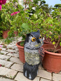 Hooyizer Owl Decoy 360 Rotate Head, Scarecrow Fake Owls Natural Enemy Realistic Owls to Scare Birds Away