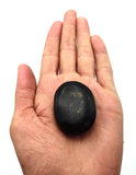 Shungite Palm Stone - Massage Worry Stone for Natural Body Chakra Balancing, Reiki Healing and Crystal Grid