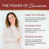 Sugar-Free Cinnamon Gummies 2000MG with Ceylon Cinnamon & Cassia Complex | Sugar-Free Lifestyle Supplement & Guilt-Free Cinnamon Apple Flavor with Chromium | Vegan, Non-GMO, Gluten-Free | 60 Gummies