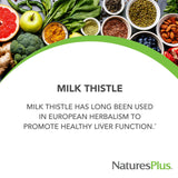 Natures Plus Herbal Actives Milk Thistle, Extended Release - 500mg, 80% Silymarin, 30 Vegetarian Tablets - Gluten-Free - 30 Servings