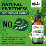 Gotu Kola Drops - Organic Gotu Kola Herb Liquid Extract - Centella Asiatica Tincture - Vegan, Alcohol Free - 4 fl oz