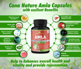 Organic Amla Capsules 2250mg & Arjuna, Garlic |Natural Vitamin C Supplements, High Antioxidants, Rejuvenator |Supports Immunity, Energy Booster |Gluten Free Vegan India Amalaki Extract Fruit, 120 Caps