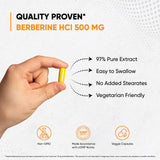 Sandhu's Berberine HCL Supplement 500mg per capsule with 97% Pure Berberis Aristata Extract| 60 count| Supports Weight Management & Healthy Energy levels| Made in USA, Vegetarian, Non-GMO, Gluten Free