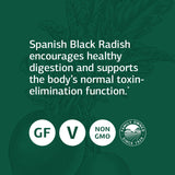 Standard Process Spanish Black Radish - Whole Food Detox, Liver Support, Digestion and Digestive Health, Gallbladder Support with Honey and Vitamin C - Vegetarian, Gluten Free - 270 Tablets