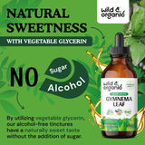 Gymnema Sylvestre Liquid Extract - Organic Gymnema Sylvestre Supplement - Vegan, Alcohol Free Gymnema Sylvestre Drops - 4 fl oz