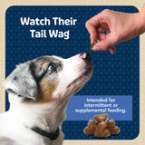 Blue Buffalo BLUE Bits Natural Soft-Moist Training Dog Treats, Chicken Recipe 19-oz Bag