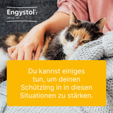 Engystol T ad us.vet.tablets 100 St