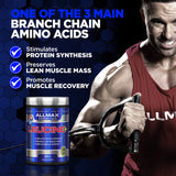 ALLMAX Nutrition Leucine 5,000 mg, 14.1 oz (400 g)