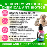 Kennel Cough Drops for Dogs and Cats - 2oz Pet Herbal Remedy - Throat Soother - Homeopathic Respiratory Support - Dry, Wet & Barky Pet Cough and Cat Asthma, Sinus Congestion Treatment - Made in USA