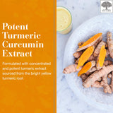 NEW NORDIC Turmeric Curcumin Gummies | Sugar Free | 300 mg Turmeric Supplement for Men and Women | Supports Normally Functioning Joints, Knees, Shoulders | Mango Orange | 60 Count