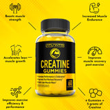 Creatine Monohydrate Gummies for Strength & Athletic Performance - 5g Creatine Per Serving - Creatine Chews to Build Muscle, Increase Performance & Improve Post Workout Recovery - 120 Gummies (2-pack)