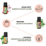 Folkulture Fragrance Oil, Set of 6 Essential Oils Set for Diffusers for Home Scented, Aromatherapy Oil Scents for Candle Making - Patchouli Balsam Cedarwood Opium Poppy Lotus Tropicool (Trippy Hippie)