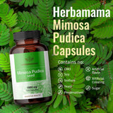 Mimosa Pudica Seeds Capsules - Organic Mimosa Pudica Seed Supplement - Promoting Digestive, Intestinal Function - Natural Cleansing Support - 1000mg, 100 Caps