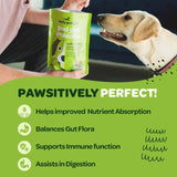 Dog Probiotic Chews for Gut Health with Prebiotic FOS Fiber and Pumpkin Seed Fiber - Digestive, Immune & Bowel Health Support – Probiotic for Dogs Healthy Pets Treats - 90 Healthy Pet Chews