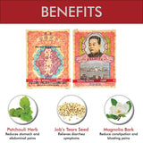 Li Chung Shing Tong Po Chai Pills Herbal Supplement (Supports Immune and Gastrointestinal System) (10 vials) (1 Box)