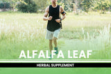 Pure Original Ingredients Alfalfa Leaf (365 Capsules) No Magnesium Or Rice Fillers, Always Pure, Lab Verified