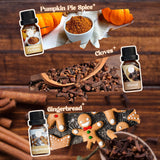 SoulOrigin Autumn Spice Essential Oils Set, Fragrance Oil Gift Set for Oil Diffusers, Scented Oils for Soap Candle Making 6x10ml - Cinnamon, Nutmeg, Vanilla, Gingerbread, Pumpkin Pie Spice, and Cloves