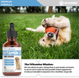 Vitamin D for Dogs | Supports Strong & Health Bones | Vitamin D Supplements for Dogs | Vitamin D Dog | Dog Vitamins and Supplements | Dog Vitamins Multivitamin | Vitamins for Dogs | 1 fl oz