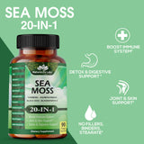 Sea Moss 6000mg - Black Seed Oil 2500mg - Bladderwrack 2000mg - Turmeric 1500mg Ashwagandha 1000mg - Burdock 1000mg - Muira Puama, Vitamin C, D3, Yellow Dock root, Manuka, Dandelion - 90 veggie caps