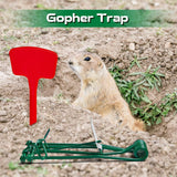 Kittmip 8 Pcs Outdoor Gopher Trap Easy to Set Mole Trap Weather Resistant Gopher Killer Vole Trap with 8 Pcs Red T Type Labels for Lawn Garden Farm (Green)