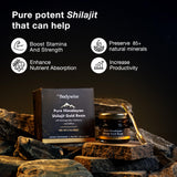 Be Bodywise Pure Himalayan Shilajit Resin Gold - Pack of 2 I Lab Tested I Ashwagandha, Gokshura I Fulvic Acid & Trace Minerals I for Men & Women | Zero Sugar I 100% Organic & Natural I 60 gm.