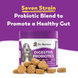 Dr. Harvey's Digestive Probiotic Soft Chews for Dogs, 7 Probiotics for Gut Health, Diarrhea and Bowel Support, Peanut Butter Flavor (90 Chews)