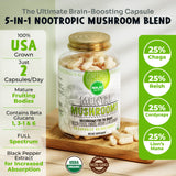 MENTAL Mushroom Capsules, Organic Extract Supplement w/ Lion's Mane, Cordyceps, Reishi and Chaga, Boost Your Focus, Energy, Wellness and Immune System - Nootropic Mushrooms, Immune Support 90ct