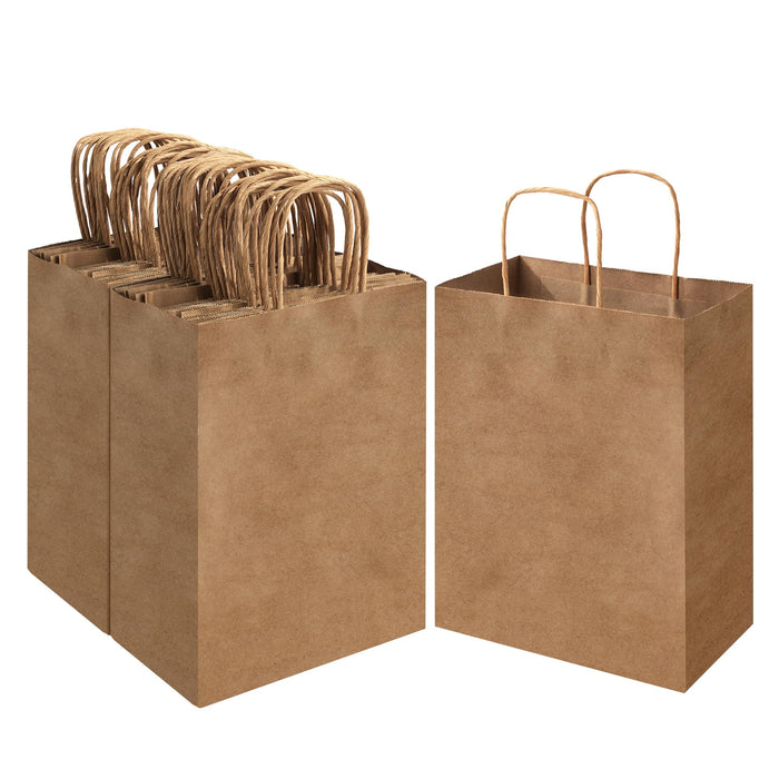 ECOEXTRA Brown Kraft Paper Bags 100 Pack 8x4.5x10.8 in Medium with Handles