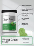 Horbäach Organic Wheatgrass Powder | 8oz | Vegan, Raw, Non GMO & Gluten Free Wheat Grass Superfood Powder