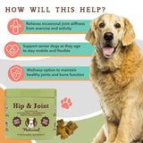 Natural Dog Company Hip & Joint Chews, Chicken Liver & Turmeric Flavor, with Glucosamine for Dogs, Maintains Bone and Joint Health, Supplements for Seniors and Puppies, 90 Count