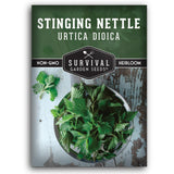 Stinging Nettle Seed for Planting - 1 Packet with Instructions to Plant and Grow Medicinal Herb Common Stinging Nettle in Your Home Herb Garden - Non-GMO Heirloom Variety - Survival Garden Seeds