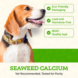 Animal Essentials Seaweed Calcium - Supplement for Dogs and Cats, High Digestibility, Pure Clean Icelandic Seaweed Calcium, Free of Lead and Hormones, Lab Tested, Magnesium - 12 Oz (Pack of 1)