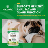 NaturVet - No Scoot for Dogs - 120 Soft Chews - Plus Pumpkin - Supports Healthy Anal Gland & Bowel Function - Enhanced with Beet Pulp & Psyllium Husk