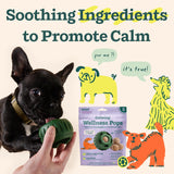 WOOF Calming Wellness Pops - Calming Dog Treats - Long-Lasting Refills for The Pupsicle Toy to Promote Calm - Magnesium for Dogs- Small Pops - 10 Count