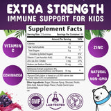 Kids & Toddler Immune Support Gummies with Vitamin C, Zinc & Echinacea - Immune Support Gummy for Kids, Daily Childrens Immune Support Vitamins Supplement, Vegan & Non-GMO, Berry Flavor - 120 Gummies