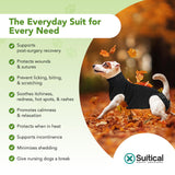 Suitical Recovery Suit for Dogs - Dog Surgery Recovery Suit with Clip-Up System - Breathable Fabric for Spay, Neuter, Skin Conditions, Incontinence -XXXS Dog Suit, Black