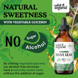 Wild & Organic Olive Leaf Liquid Extract - Olive Leaf Supplement for Immune Support - Vegan, Alcohol Free Tincture - 4 fl oz