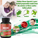 Organic Cadane Neem Leaf Supplements Capsules 2250 mg with Holy Basil Tulsi, Guduchi, 120 Vegetable Capsules | Supports Immune System | Fresh Pure Powder Leaves Herbs