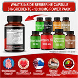 8 in 1 Berberine Supplement - Equivalent to 13100mg per Capsule - Support Digestion, Immunity - with Ceylon Cinnamon, Milk Thistle, Turmeric, Bitter Melon