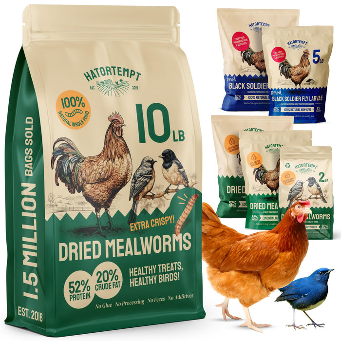 Hatortempt Bulk Dried Mealworms 10 lbs – Premium Non-GMO Dried Mealworms for Chickens – High Protein Organic Chicken Feed - Meal Worms for Birds & Chicken Treats for Laying Hens