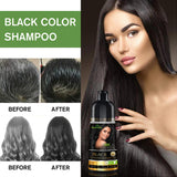 Herbishh Hair Color Shampoo for Gray – Magic Dye Colors in Minutes–Long Lasting–500 Ml–3-In-1 Color–Ammonia-Free (Black)