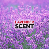 Raid Ant & Roach Killer Lavender 17.5 Ounce (Pack of 12)