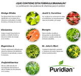 Puridian Vitaminas para El Cerebro, Suplemento Nootropico Natural, CADA Capsula Mejora Su Memoria Y Concentracion - Fórmula Avanzada para Mujeres Y Hombres. Certificadas USA.