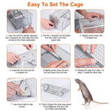 KOCASO Humane Rat Trap, Large 2-Door Mouse Trap That Work for Indoor Home and Outdoor, Catch and Release Live Animal Trap Cage for Squirrel Mice Gopher Vole Chipmunk Raccoon Rodent Groundhog Rabbit